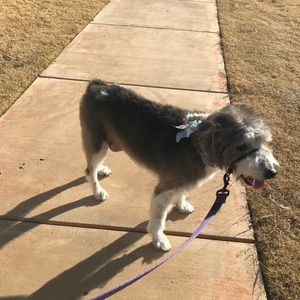 Meet your Posher, Monique